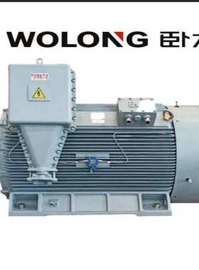 南阳防爆永磁电机TBYBP系列BT4防爆等级造纸厂专用节能改造用电