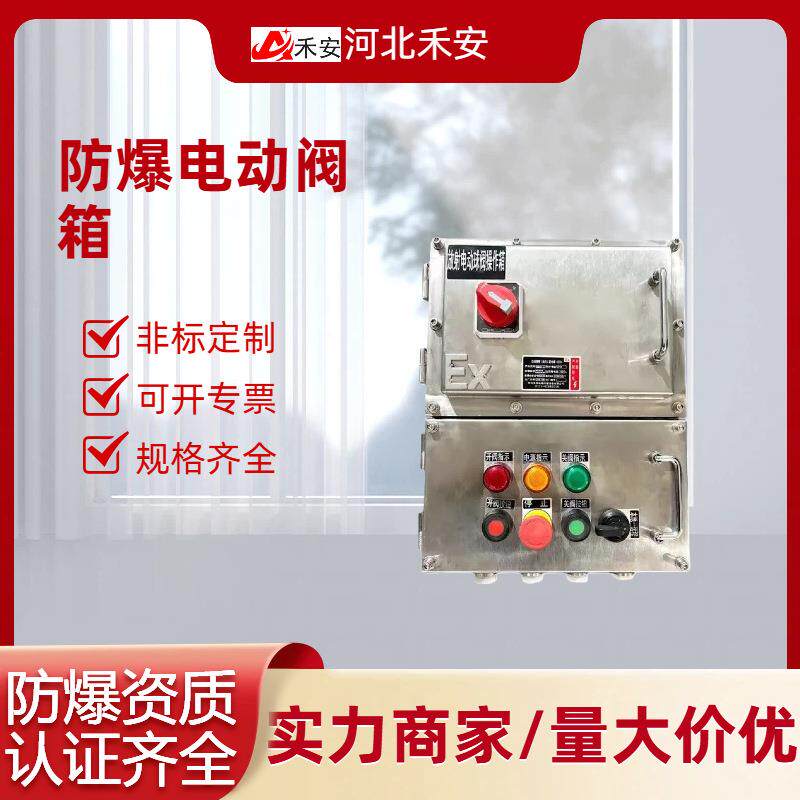 厂家电动阀门控制箱气控箱防爆箱化工军工IIIC防爆阀门控制箱