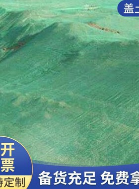 网绿色】防尘抑尘盖土网工地绿【建筑覆盖土网城市盖遮阳绿化