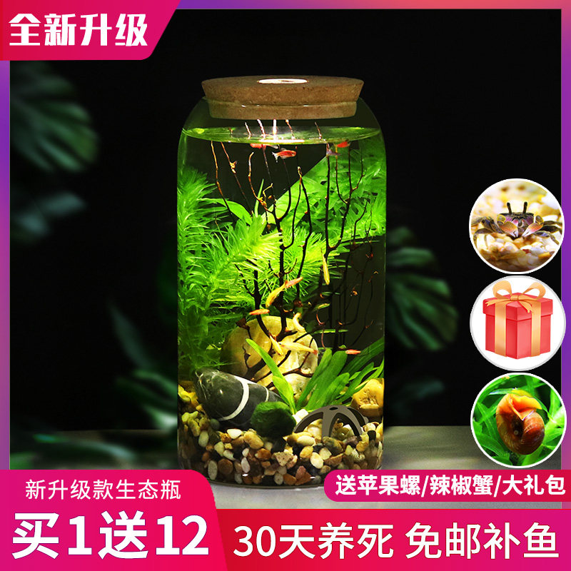 高脚杯生态瓶鱼免换水打理微景观科学用diy作Q业办公桌面造景鱼缸