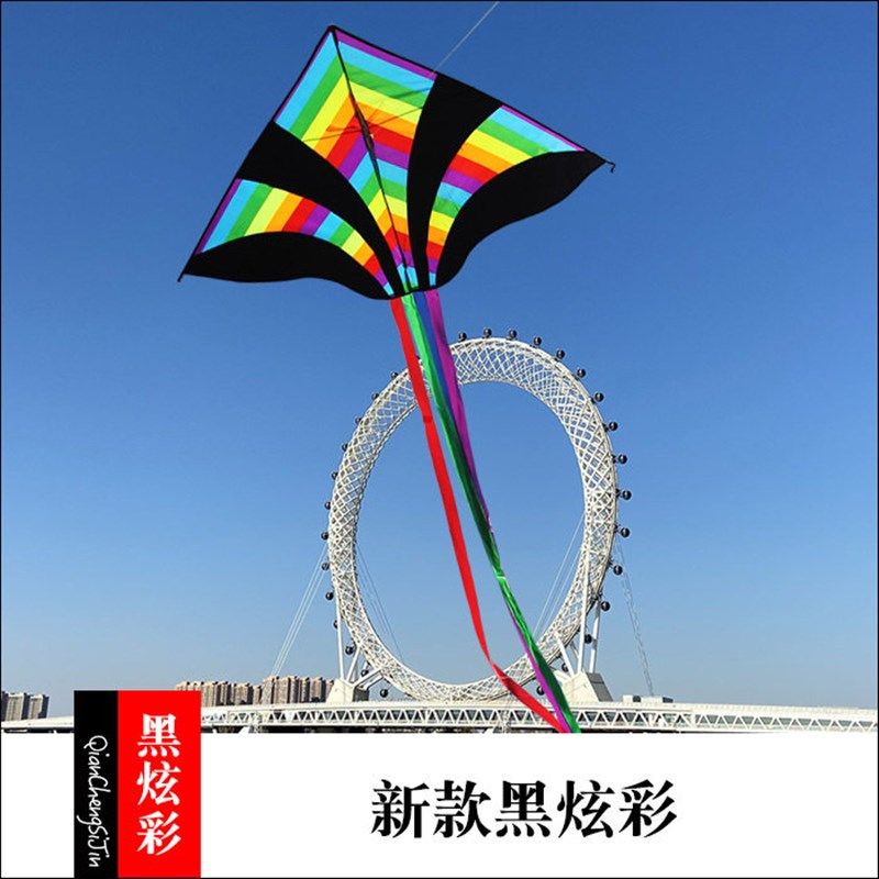 潍坊新款黑炫彩儿童卡通初学三角长尾易飞保飞风筝,运动/瑜伽/健身/球迷用品,风筝,淘宝优惠券,粉丝福利购,淘宝优惠卷