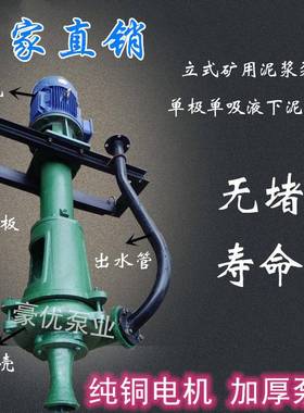 1PNL2PNL3PNL型立式泥浆泵耐磨泥浆泵污泥泵泥沙泵污水杂质泵3PNL