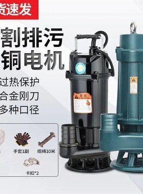 德国进口农用切割式污水泵抽粪沼气泥浆排污泵家用化粪池大功率切