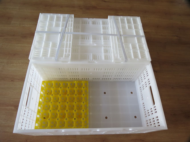 塑料欧式鸡蛋折叠箱周转箱 鸡蛋箱 鸡蛋鸭蛋鹅蛋运输工具