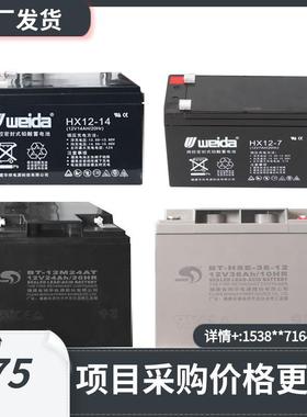 利达主机蓄电池LD128系列主机备用电池12V12AH/12V14AH/12V38AH