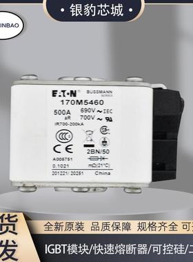 170M5458 170M5459 170M5460 170M5461 170M5462熔断器保险丝现货