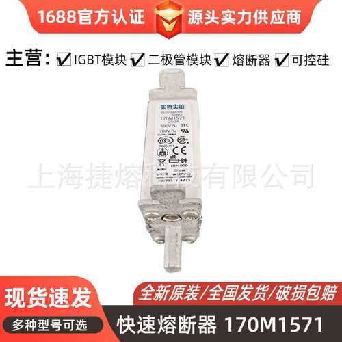 全新原装170M1571 170M1572 170M1802 直流快速熔断器  标准封装