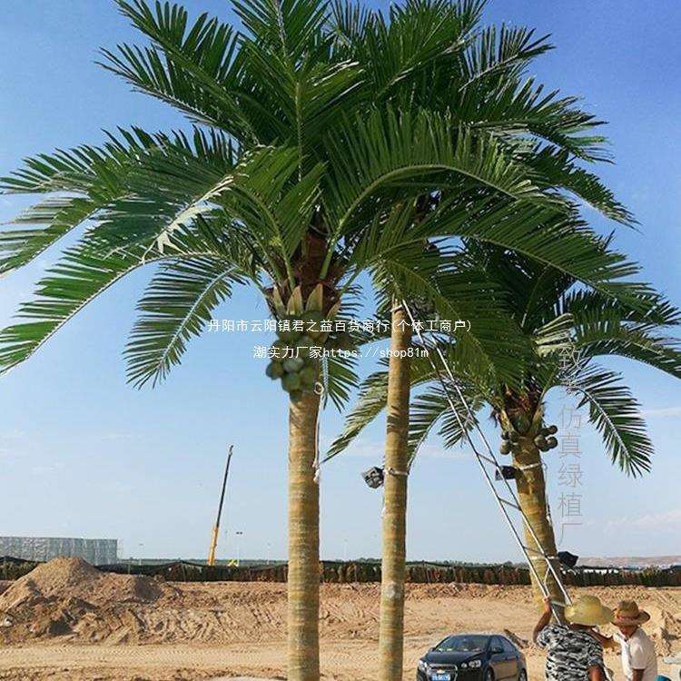 椰子树大型人造景观树热带绿植装饰假椰树叶子仿生假树棕榈树