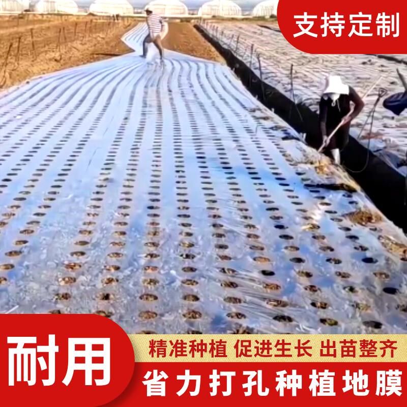 打孔白地膜塑料膜保温保湿家用白色透明薄膜花生蔬菜带孔有孔