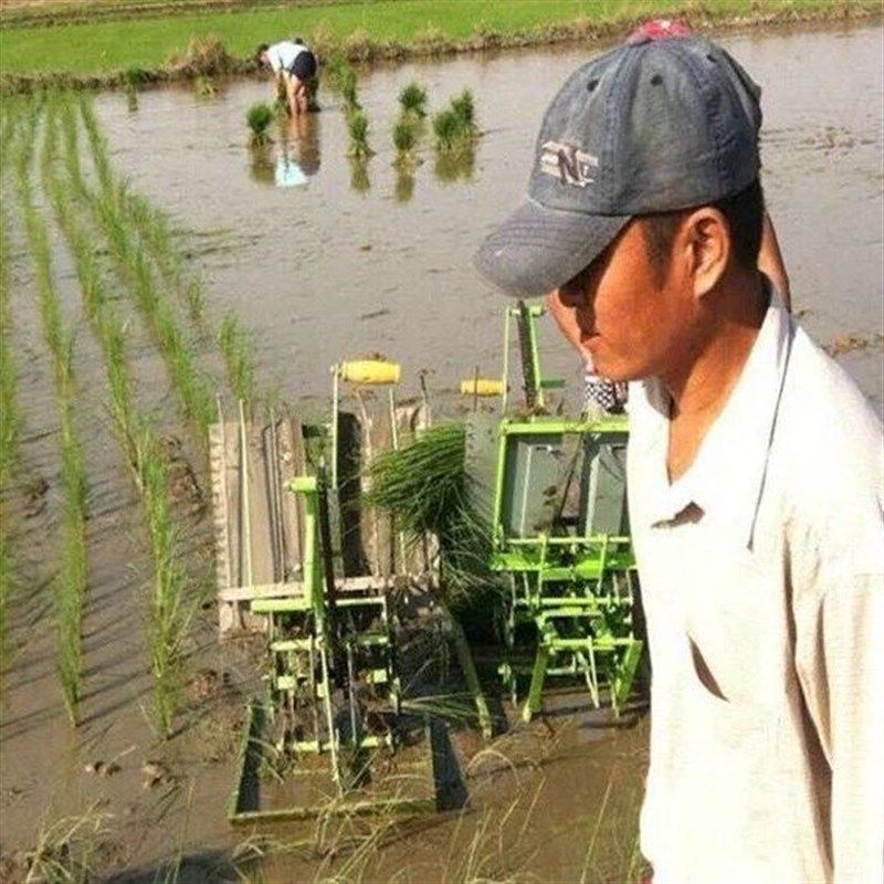 插秧机手摇式h水稻新式两行插禾机小型插秧机种植机农用耕种机械