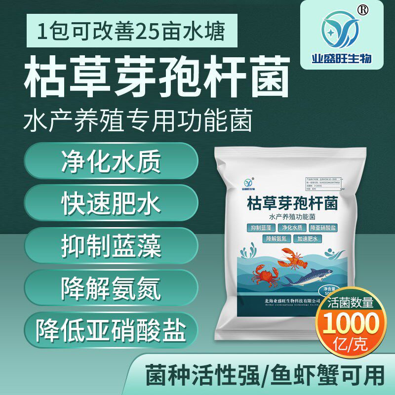 水产枯草芽孢杆菌净化水质降解亚硝酸盐肥水降解氨氮除蓝藻