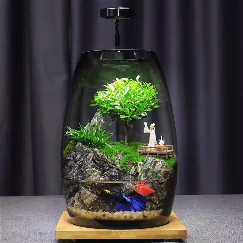 养鱼缸生态微景观苔藓办公室桌面微景观绿植盆景生态瓶缸绿植造景