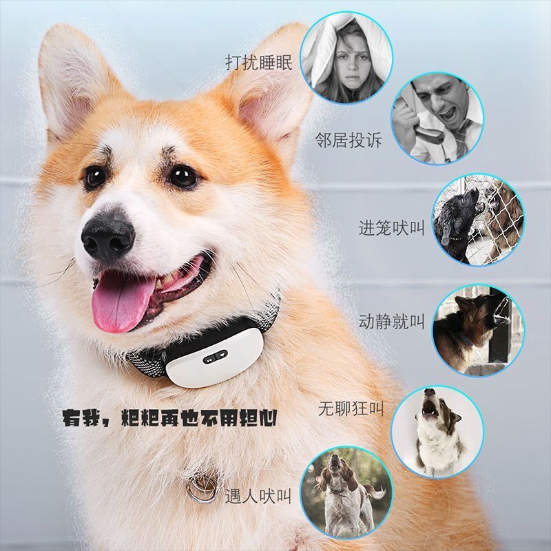 狗狗止吠器自动防狗叫扰民宠物训B练项圈柯基金毛大小型犬防叫神