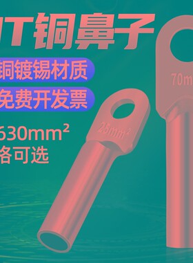 镀锡DT铜鼻子16/25/35/70/95y/120/185/240/300平方接线端子铜线