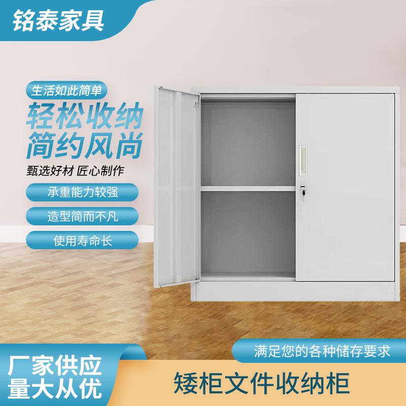 新款简约文件收纳矮柜加厚办公室铁皮柜宿舍储物柜文件档案资料柜