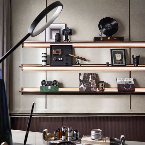 复古意式样板间售楼处背景柜软装摆件装饰相机模型摆设品书房书架