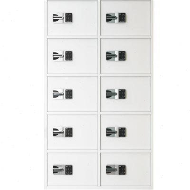 新品。保密柜钢制密码文件柜资料柜铁皮员工柜智能国保指纹锁防盗