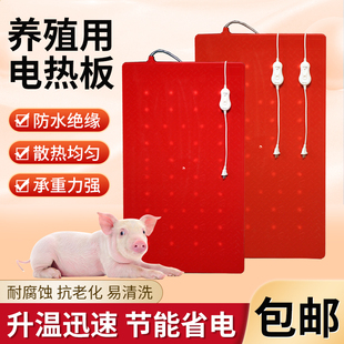 仔猪用电热板兽用塑钢加热板产床保温箱小猪保温板养殖用取暖设备