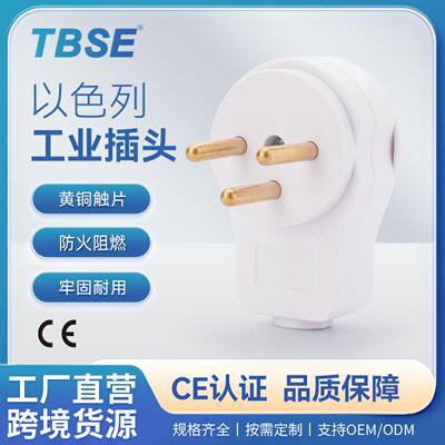 神创/TBSE以色列接线2250V装配