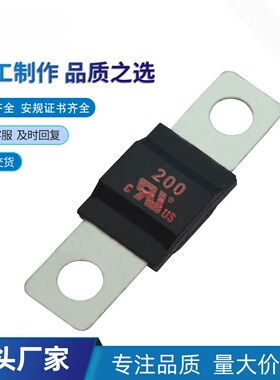 厂家AMS 200A 80V 72V58V 41*30*12小号叉栓汽车保险丝