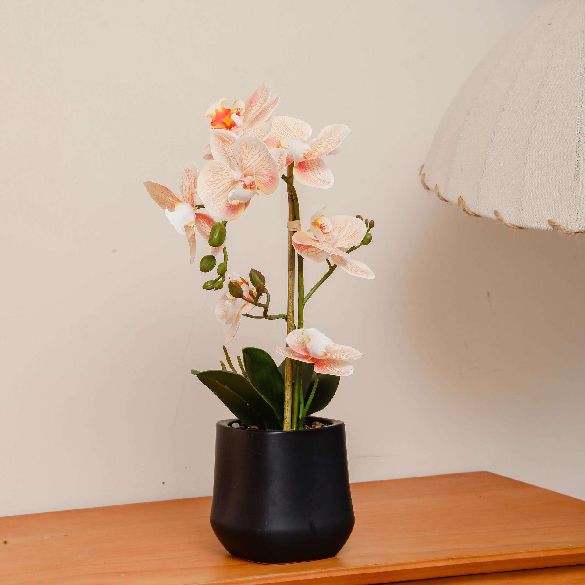 蝴蝶兰盆栽仿真花仿生花地摆花兰花含盆陶瓷盆四方款中国风