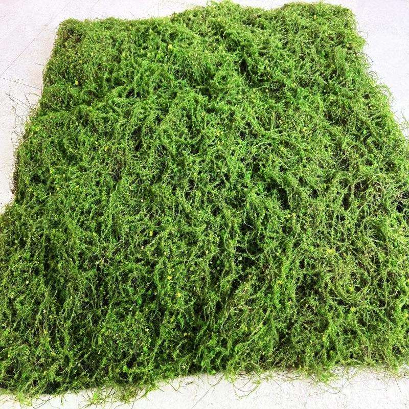 双色草坪珍珠棉植绒毛+永生苔藓地毯青苔墙园林软装假山沙盘造景
