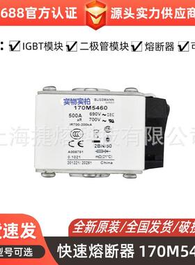 170M5460 170M5462 快速熔断器 保险丝 电子元器件 量大价优