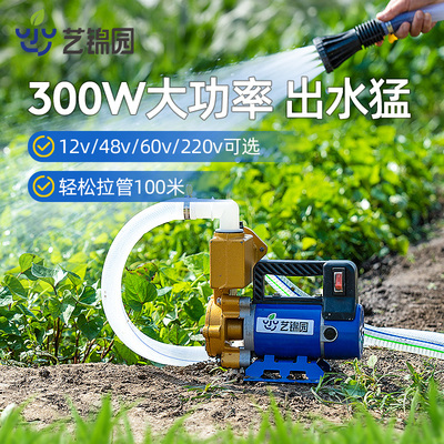 浇菜神器农用灌溉抽水机12V48V220V大功率家用浇花浇水机抽水泵