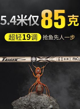 泰戈钓鱼竿手竿超轻超硬碳素台钓竿19调偏28调鲫鱼鲤鱼杆