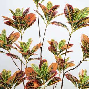 假绿植仿真植物室内客厅大型仿生洒金榕落地盆栽家居装饰造景摆件