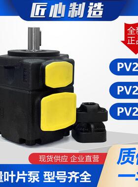 液压叶片泵PV2R1 PV2R2 PV2R3低噪音液压油泵定量叶片泵铸铁