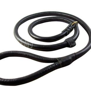 狗项圈 牵引绳 宠物项圈 P链 中大型犬狗链 宠物用品套装金毛萨摩