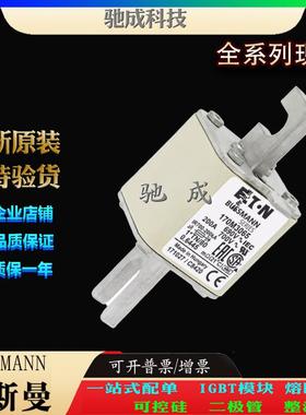 巴斯曼170M3065 170M3066 170M3067 现货供应量大价优 方体熔断器