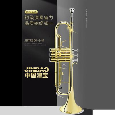 津宝小号青年号三键号降B调JBTR-300学生乐队专业演出津宝