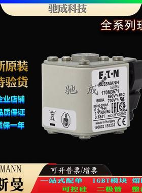 巴斯曼170M3571 170M3572 170M3573 厂价直销优价供应 快速熔断器