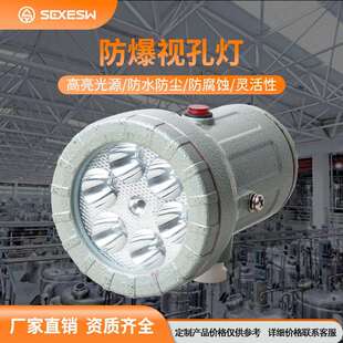 防爆视孔灯LED防爆反应釜灯照明灯BSD视镜灯5W10W延时探照灯24V22