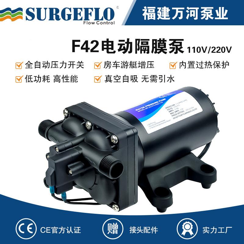 110V交流电动隔膜泵220V自吸抽水泵园林灌溉往复泵高扬程冲洗泵