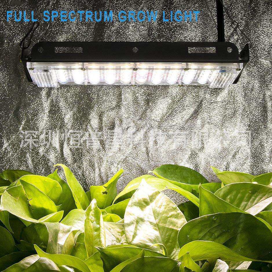 全光谱植物灯 室内仿太阳光大棚植物种植灯补光灯 LED植物生长灯