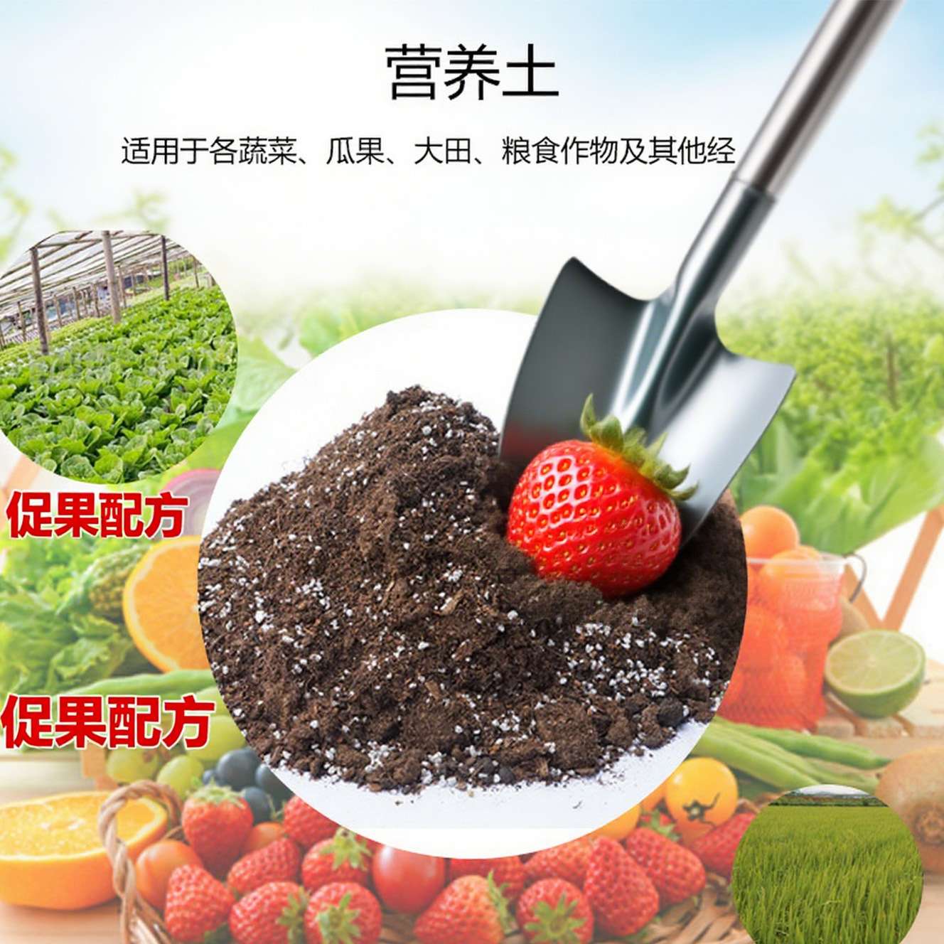 有机型营养土园林绿化屋顶轻质种植土蔬菜水果种植基质肥营养土