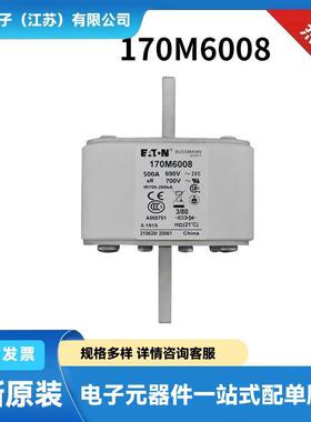 170M6008 170M6020 170M6080原装高压快速熔断器 保险丝