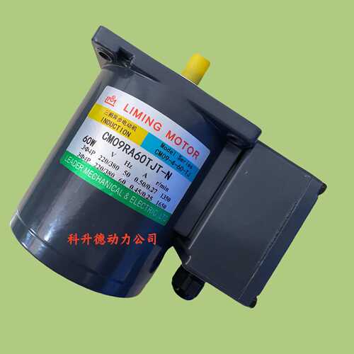 CM09RA60TJT-N CM09-4-60-TJ LIMING MOTOR电机利明 LM马达利茗
