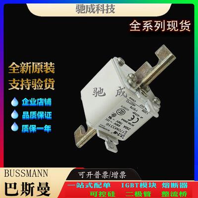 巴斯曼170M3316 170M3317 170M3318 经销出厂价格 紧凑熔断器