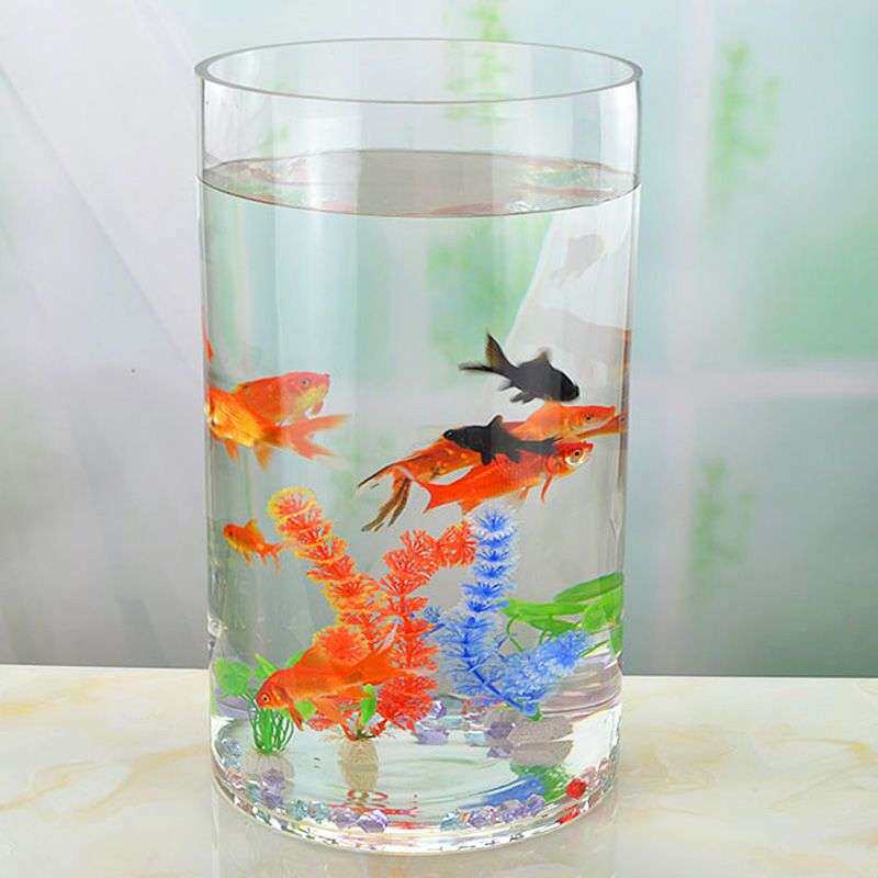 ?圆柱形鱼缸圆柱体落地客厅超白玻璃圆形一体成型小中型桌面金鱼