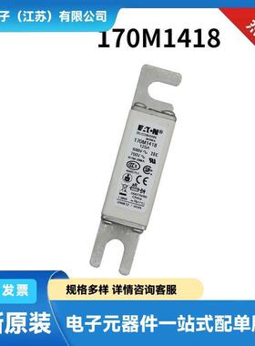 170M1418 170M1419 170M1560快速熔断器 保险丝原盒现货