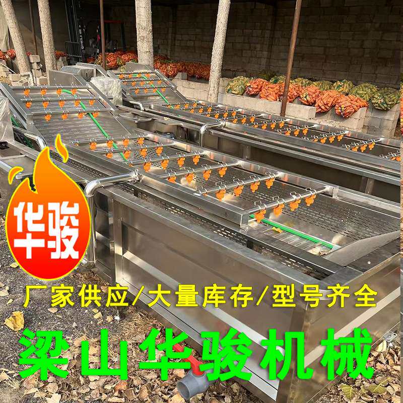 大型杏子白菜油菜高压喷淋气泡清洗设备 气泡清洗机