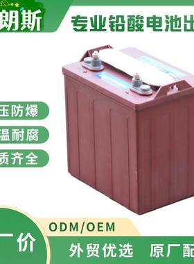 铅酸动力蓄电池 T-105 观光游览车电瓶6V225Ah 支持出口