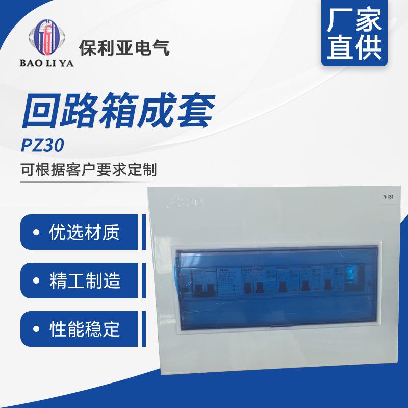 PZ30回路箱成套家用明装pz30暗装强电箱总成空气开关防水保护盒子