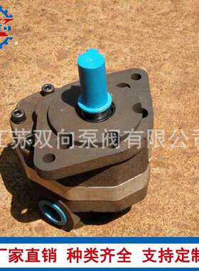 单级高压齿轮油泵CB-HB31.5 CB-HB40 CB-HB50-FL-Y2齿轮泵 油泵