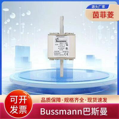 熔断器170M4310 170M4311 170M4312 170M4313 170M4314 170M4315