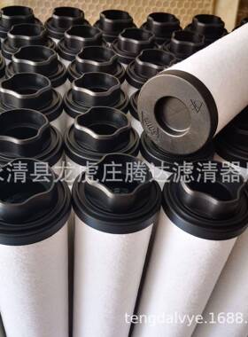 真空泵EVISAE300MV333362油雾分离器